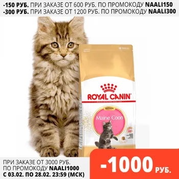 Royal Canin Maine Coon Kitten для котят породы мейн-кун, Kočky, pro kočky, 4 кг