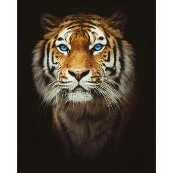 Plné Náměstí/Kolo Diamond Výšivky Vzor Cross Stitch Zvíře Tygr Diamond Malování DIY Mozaika Vyšívání, Dar Domova