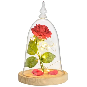 Kráska a Zvíře Věčné Růže Květ v Skleněná Kopule s LED Noční Lampa Světla Vánoce, Narozeniny, Valentýna Dárky pro Holku