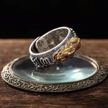 Despotický Pánské Prsten Pi Xiu Feng Shui Bohatství, Dobré Štěstí, Šperky Buddhismus Prsten Osobnost Zvířete Snubní Prsten Hip Hop Šperky