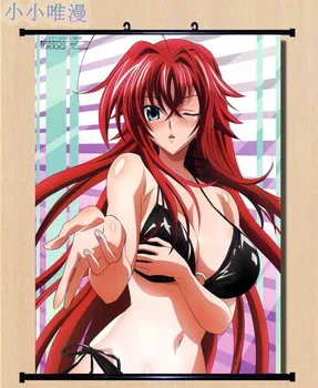 Japonské Anime Dekorativní Obrázky High School DxD sexy dívka Rias Gremory Domů Dekor Nástěnné Scroll Plakát