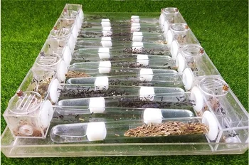 18mm Skleněné Trubky, Ant Hnízdo Akryl Ant Farm Granja de Hormigas nid fourmis Hmyzu Klece Mravenci Hrad Studenty Vědeckých Zařízení