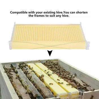 7PCS Modernizované Auto Run Med Včelařství Včelí Úl Hřeben Úlu Rámy Sklizeň