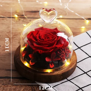 Vícebarevná Skleněné Kopule Věčný LED Kráska a Zvíře Květiny Růže Romantický Valentýn Vánoční dárek pro svatbu