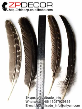 ZPDECOR 25-28cm(10-12inch) 50pieces/lot Velkoobchod Původní Přírodní Krásné Divoké Krůtí Křídla Peří DIY Dekorace