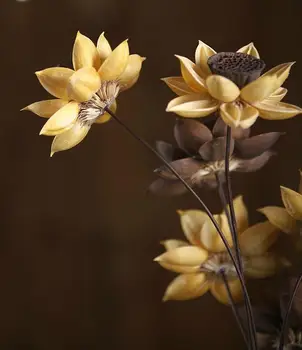 55cm Přírodní DIY Ibišek Lotus Sušené Květiny, Svatební Dekorace pro Domov, Strana, Kancelář, Dekorativní Umělé, Sušené Květiny