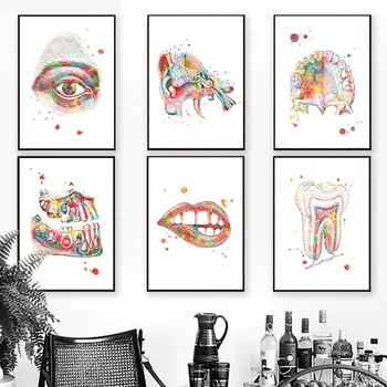 Zuby, rty, Ucho, Oko Anatomie Wall Art Malířské Plátno Nordic Plakáty A Tisky Nástěnné Obrázky Pro Lékaře, Kanceláře Dekor