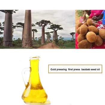 Baobab olej 50ml semen lisováním za studena surové lisování oleje hydratační a opravy udržet