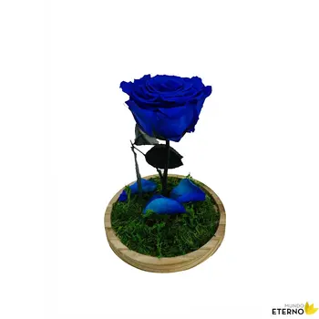 Dome Kráska a Zvíře Věčné Růže zachovalé tmavě modré