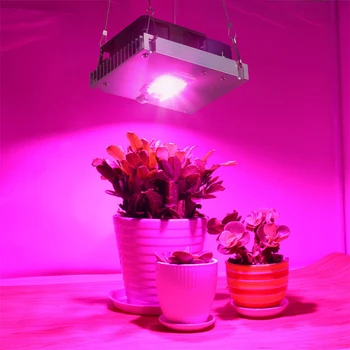 COB LED Světla Rostou celé Spektrum Skutečný Výkon 50W 100W 150W 200W LED Plant Grow Lampy pro Pokojové Rostliny, Zelenina A Kvetení