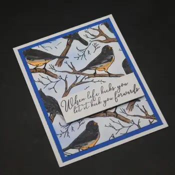 DABOXIBO Ptáci Ve Větvích Jasné Známky Formy Pro DIY Scrapbooking Karty Výrobu Vyzdobit Řemesla 2020 NOVÉ Příjezdu