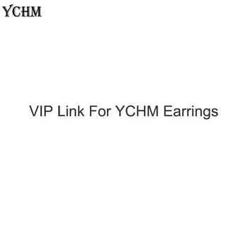 VIP Odkaz pro C Náušnice Módní Šperky 2021 Luxusní Šperky YCHM