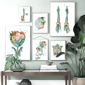 Anatomie Kostry, Mozku, Nohou, Páteře Wall Art Malířské Plátno Vintage Nordic Plakáty A Tisky Zeď Obrázky Pro Obývací Pokoj Dekor