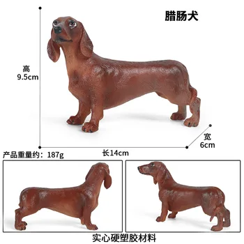 Jezevčík Zvíře Obrázek Sběratelskou Hračky Pes Animal Cognition Akční Figurky Děti Plastikový Model Hračky